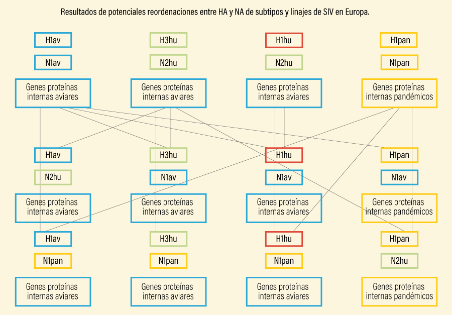 Figura 3. Resultados de potenciales reordenaciones entre HA y NA de subtipos y linajes de SIV en Europa