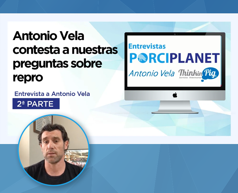 Antonio Vela nos habla de los avances en Ecografía porcina 