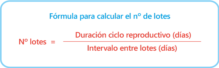 Fórmula para calcular el número de lotes