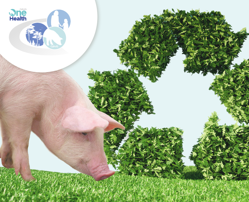 el camino hacia la sostenibilidad en granjas de porcino. Parte 2 - Indicadores de sostenibilidad