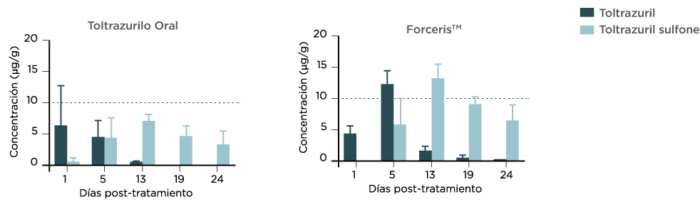 Figura 3. Concentraciones (media + DE) de totaltruzrilo y toltrazurilo sulfona en el yeyuno tras la adminsitración de una sola dosis de ForcerisTM o Baycox 5% a lechones