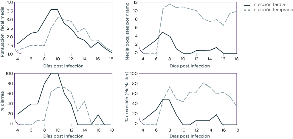 Figura 3. Comparación de la consistencia fecal y la excreción de ooquistes entre el tratamiento temprano (estudio presente) y tardío (estudio previo).