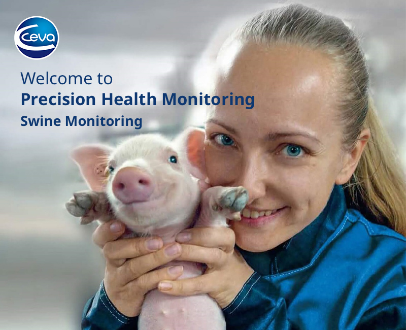 Precision Health Program (PHP): digitalización en la producción porcina