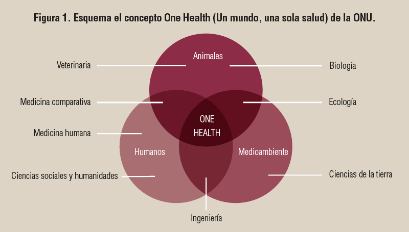 Figura 1. Esquema el concepto One Health (Un mundo, una sola salud) de la ONU